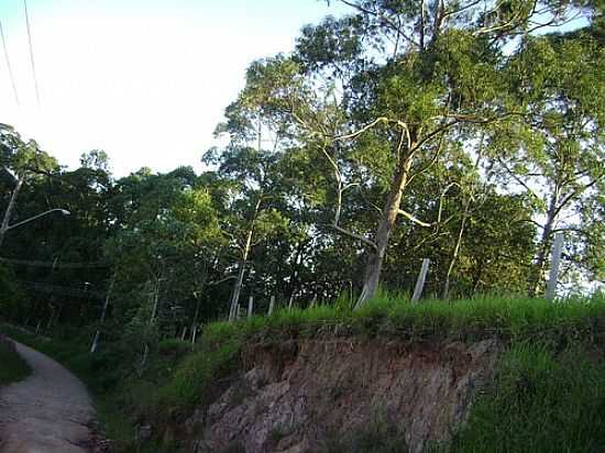 ANTIGA ESTRADA JACARE/SANTA BRBARA EM JACARE-SP-FOTO:GLUCIO ALMEIDA - JACARE - SP