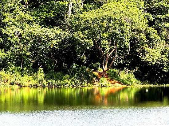 PIRAJ-BA-LAGO E FLORESTA NO PARQUE SO BARTOLOMEU-FOTO:SIDNEY ZARATUSTRA - PIRAJ - BA