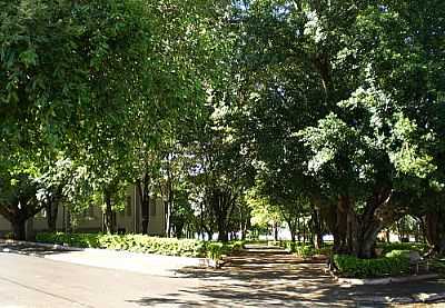 PRAA-FOTO:PEDRO AGUINALDO  - JACUBA - SP