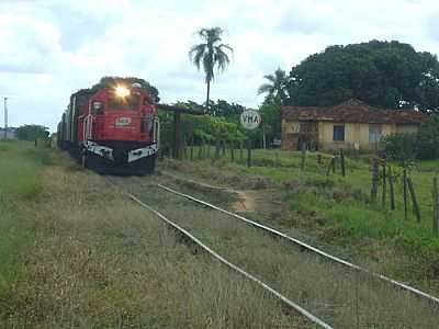 TREM CARGUEIRO PARADO EM JAFA SP POR CARLINHOS ARAJO  - JAFA - SP