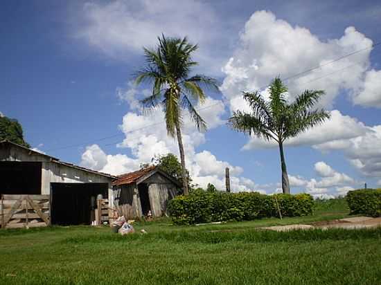 IMAGEM RURAL-FOTO:PROFJCESAR.MS  - JAMAICA - SP