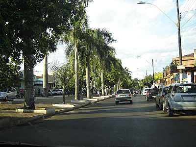 AVENIDA COQUEIROS POR SUZI - JARDINPOLIS - SP