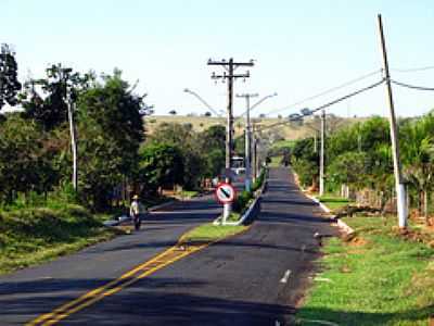 JULINIA-FOTO:EDUARDO M. P. DANTAS - JULINIA - SP