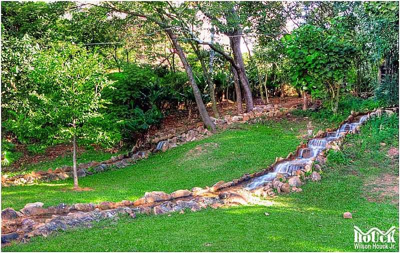 JUNDIA-SP-PARQUE DA CIDADE-FOTO:WILSON HOUCK JR.  - JUNDIA - SP
