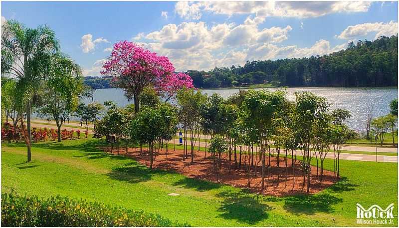 JUNDIA-SP-PARQUE DA CIDADE-FOTO:WILSON HOUCK JR. - JUNDIA - SP