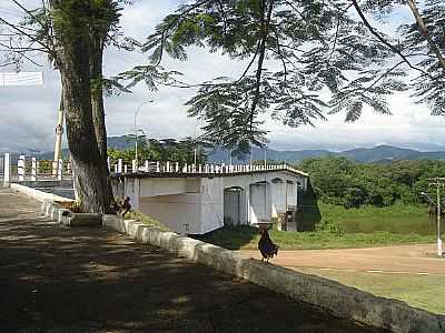 JUQUI  FOTO
JOO SAVIOLI - JUQUI - SP