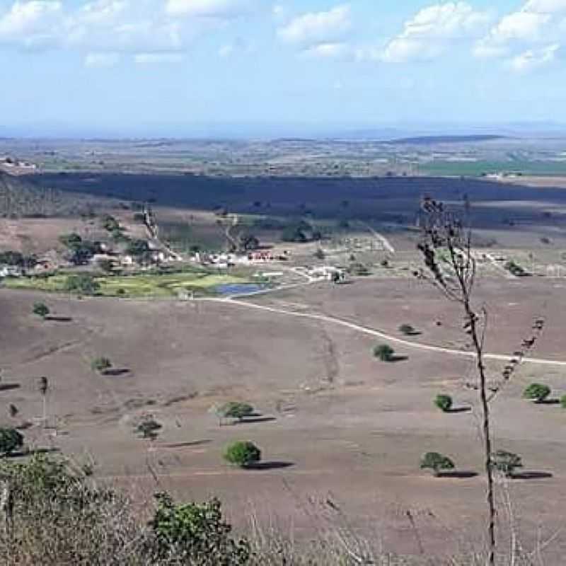 IMAGEM DA CIDADE   DE JENIPAPO - AL - JENIPAPO - AL