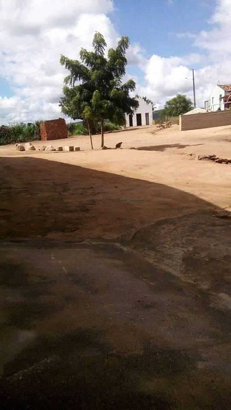 IMAGEM DA CIDADE   DE JENIPAPO - AL - JENIPAPO - AL