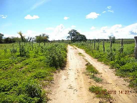 ESTRADA DE TERRA NA REA RURAL EM PIRIP-BA-FOTO:CSSIO - JACARACI - PIRIP - BA