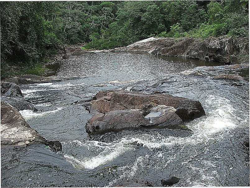 JUQUITIBA-SP-CACHOEIRA DA FRANA-FOTO:DEBORA CORDEIRO - JUQUITIBA - SP