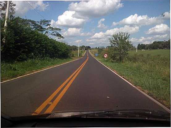 LAVNIA-SP-ESTRADA VICINAL-FOTO:POETA-VALMIR DOS SANTOS - LAVNIA - SP