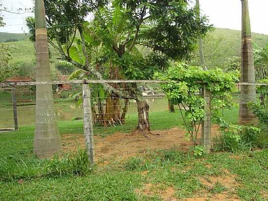 LAVRINHAS-SP-RVORES JUNTO AO LAGO-FOTO:PAULO ANTUNES JR - LAVRINHAS - SP