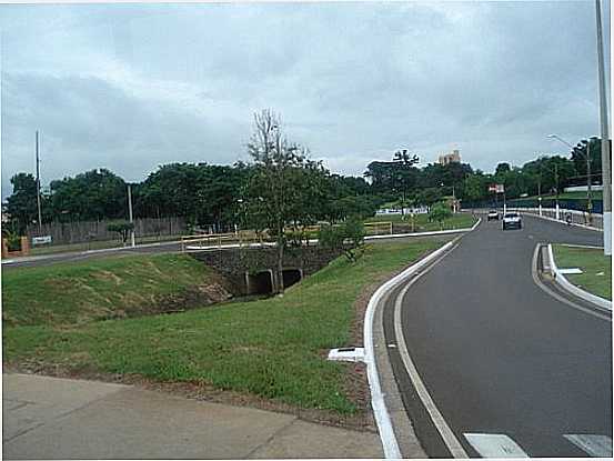 ENTRADA DA CIDADE-FOTO:LPSLPS - LEME - SP