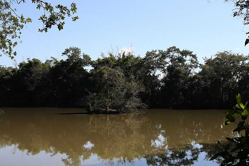 FLORESTA NACIONAL DE LORENA  ICMBIO - LORENA - SP