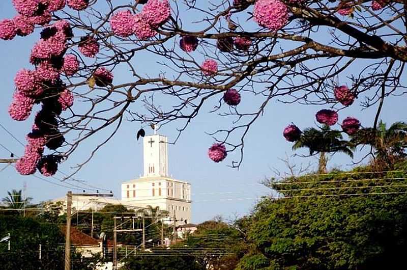 IMAGENS DA CIDADE DE LUCLIA - SP - LUCLIA - SP