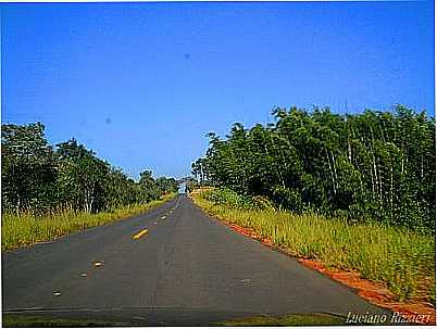 RODOVIA SP 315-FOTO:LUCIANO RIZZIERI  - LUCIANPOLIS - SP