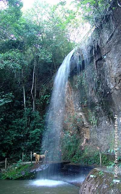 CACHOEIRA POR IVAN EVANGELISTA JR - LUPRCIO - SP