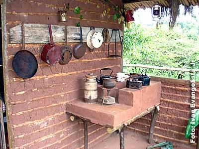 FOGO A LENHA NO AGROTURISMO FLORESTA POR IVAN EVANGELISTA JR - LUPRCIO - SP