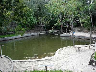 PISCINA NATURAL POR IVAN EVANGELISTA JR - LUPRCIO - SP