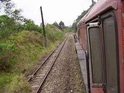 TREM DA SOROCABANA-FOTO:MBIANE  - MAILASQUI - SP