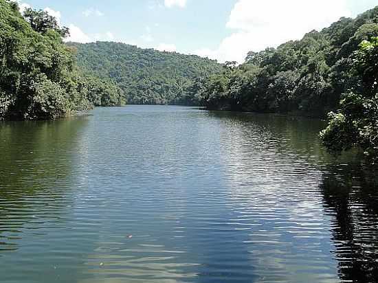 PARQUE ESTADUAL DA SERRA DA CANTAREIRA
FOTO JOO SAVIOLI - MAIRIPOR - SP