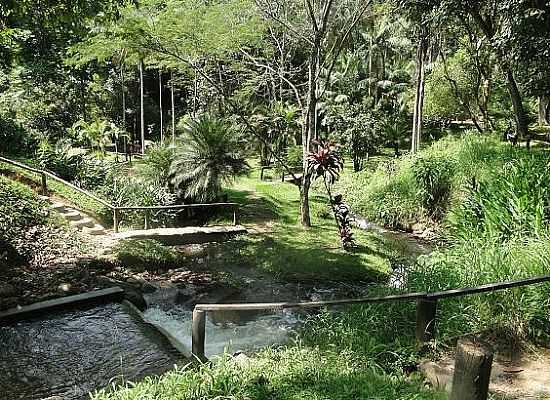 PARQUE ESTADUAL DA SERRA DA CANTAREIRA
FOTO JOO SAVIOLI - MAIRIPOR - SP