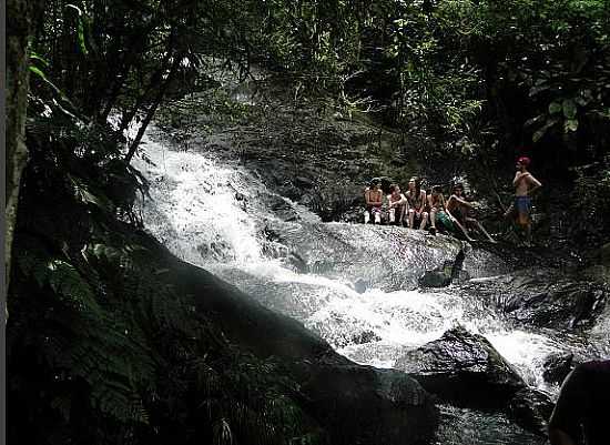 PARQUE ESTADUAL DA SERRA DA CANTAREIRA
FOTO JOO SAVIOLI - MAIRIPOR - SP