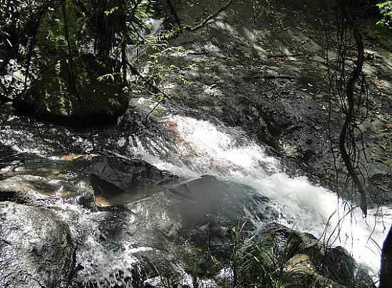 PARQUE ESTADUAL DA SERRA DA CANTAREIRA
FOTO JOO SAVIOLI - MAIRIPOR - SP