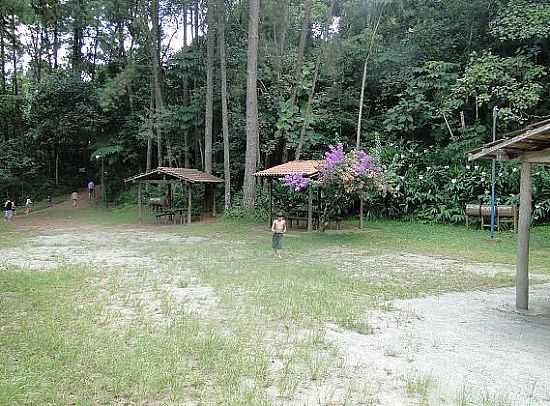 PARQUE ESTADUAL DA SERRA DA CANTAREIRA
FOTO JOO SAVIOLI - MAIRIPOR - SP