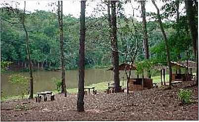 HORTO FLORESTAL  - MANDURI - SP