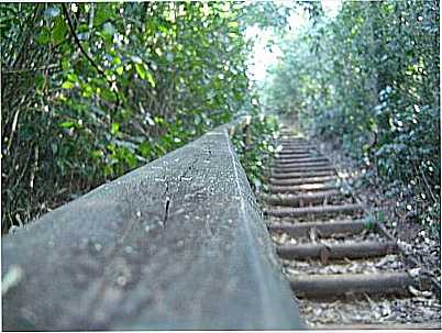 ESCADARIA NA TRILHA DO HORTO POR AMADEUPALMA - MANDURI - SP