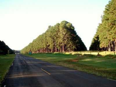 SP-287 ENTRE A FLORESTA ESTADUAL DE MANDURI, POR JP CORRA CARVALHO - MANDURI - SP