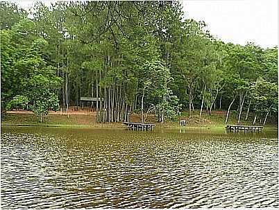 LAGO DO HORTO FLORESTAL POR GILDA MARIA PALOMO - MANDURI - SP