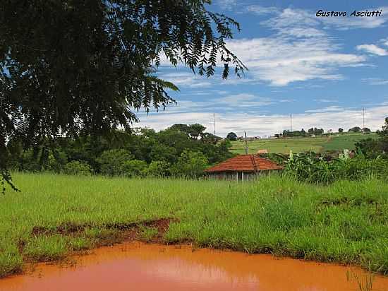 VISTA DA REA RURAL DE MARACA-SP-FOTO:GUSTAVO_ASCIUTTI - MARACAI - SP