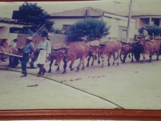 POR MOACYR ROCHA - MARTINHO PRADO JNIOR - SP