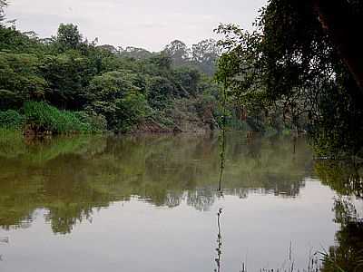 RIO MOGI GUAU EM MARTINHO PRADO POR ALFREDO CELSO BARZON - MARTINHO PRADO JNIOR - SP