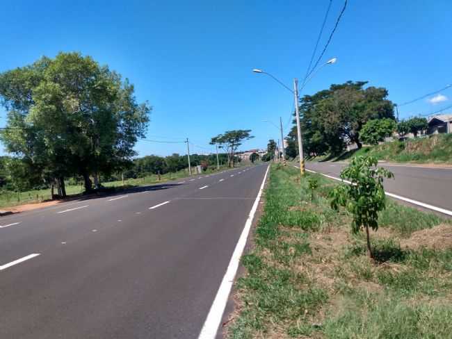 POR BRAZ GOMES FERREIRA - MATO - SP