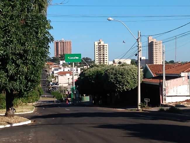 POR BRAZ GOMES FERREIRA - MATO - SP