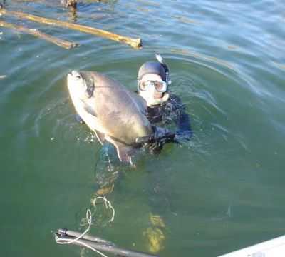 CARANHA 11KB PESCA SUB RIO GRANDE, POR AUGUSTO GRANHANI NETO - MIGUELPOLIS - SP