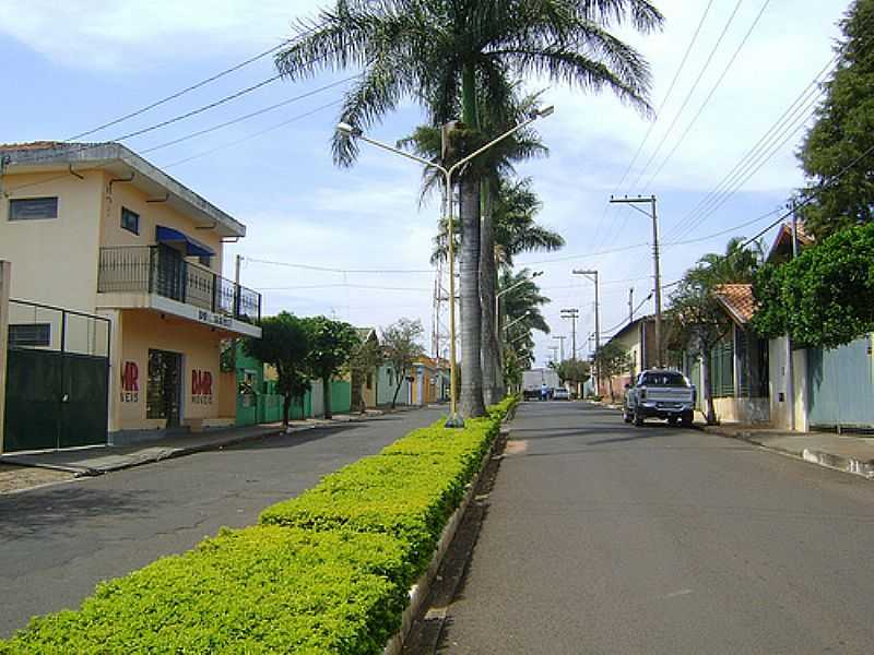 MINEIROS DO TIET-SP-AVENIDA FREDERICO OZANAN-FOTO:GERSON LUCIANO - MINEIROS DO TIET - SP