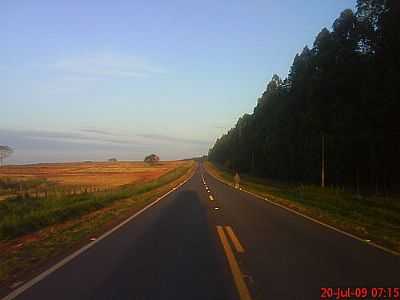 CHEGANDO EM MIRALUZ-FOTO:CFURMIGAO  - MIRALUZ - SP