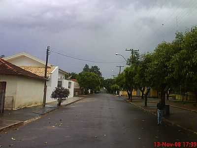 RUA DE MIRALUZ-FOTO:FURMIGAO  - MIRALUZ - SP