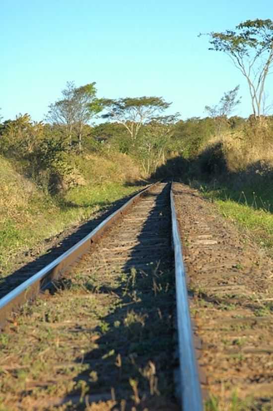 MIRANDPOLIS-SP-FERROVIA-FOTO:NILTON CEZAR - MIRANDPOLIS - SP
