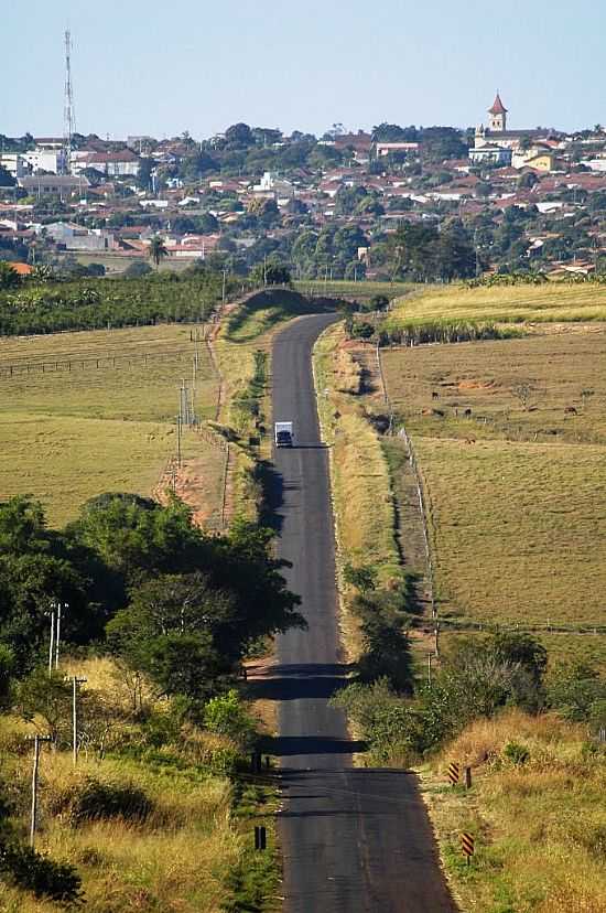 MIRANDPOLIS-SP-RODOVIA CHEGANDO NA CIDADE-FOTO:NILTON CEZAR - MIRANDPOLIS - SP