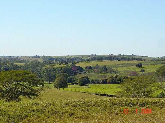 MIRANDPOLIS-SP-VISTA DA REGIO-FOTO:NILTON CEZAR - MIRANDPOLIS - SP