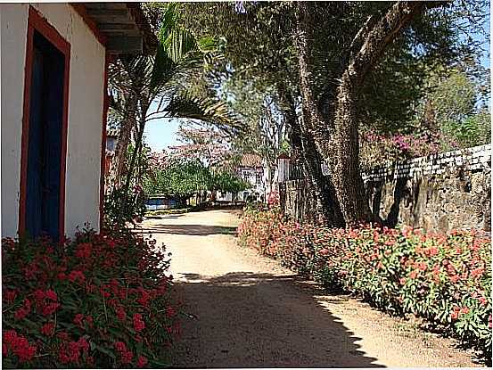 ALAMEDA DA FAZENDA CONTENDAS DE CIMA EM MOCOCA-FOTO:SMCJUNQUEIRA - MOCOCA - SP