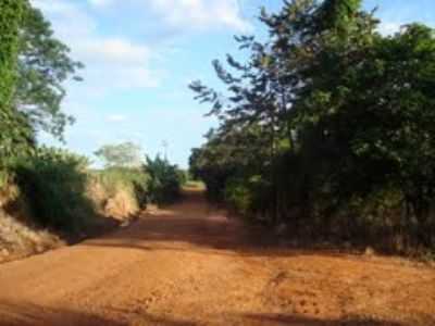 BAIRRO RURAL PAIOL DE TELHAS - CAMINHO, POR ROBERTO GASPARINNI - MOGI-MIRIM - SP