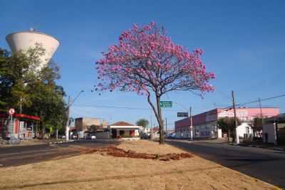 IP-ROXO - BAIRRO SADE - MOJI-MIRIM, SP, POR ROBERTO GASPARINNI - MOGI-MIRIM - SP