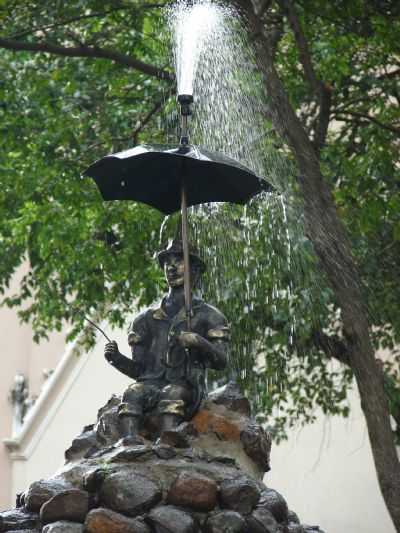 O MANCEBO DO JARDIM VELHO DE MOJI-MIRIM, SP, POR ROBERTO GASPARINNI - MOGI-MIRIM - SP