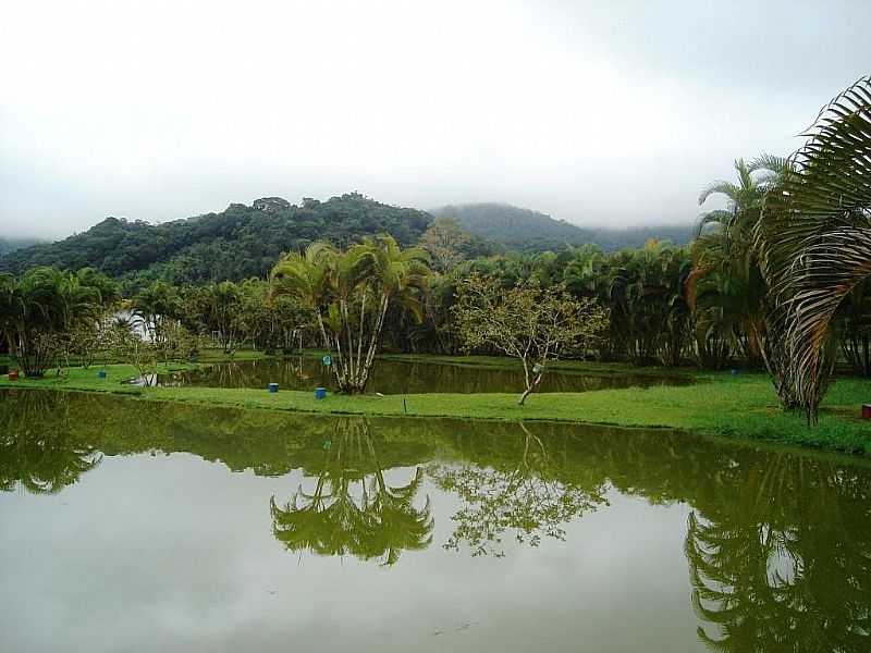 MONGAGU-SP-PESQUE PAGUE T ATOA, COMUNIDADE AGENOR DE CAMPOS-FOTO:MARCO .MOUNTAIN - MONGAGU - SP